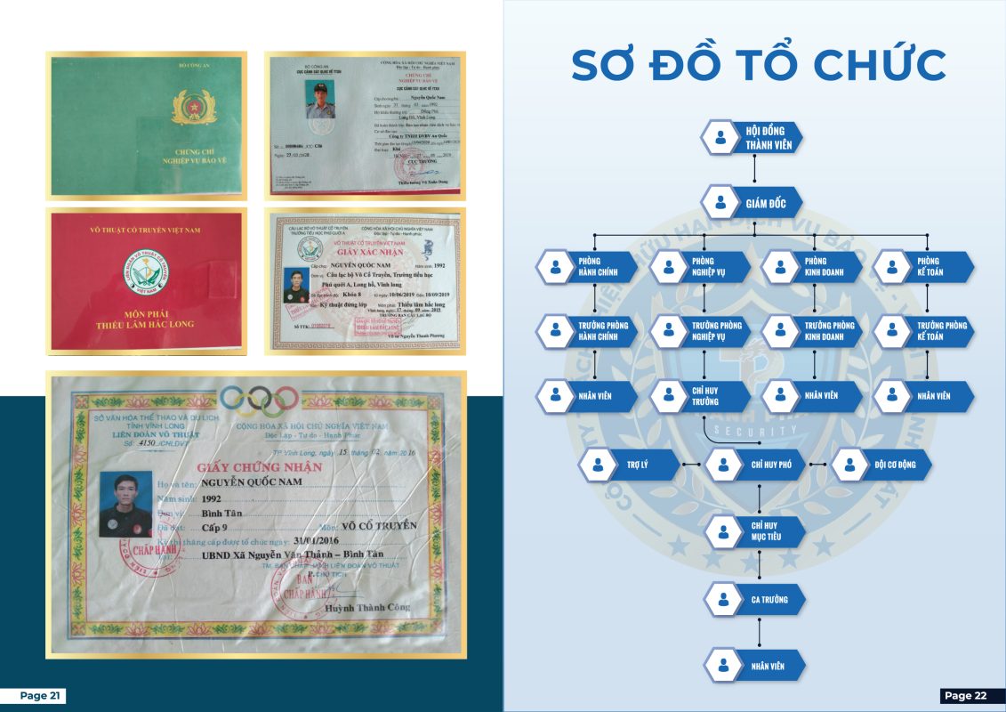 sơ đồ tổ chức