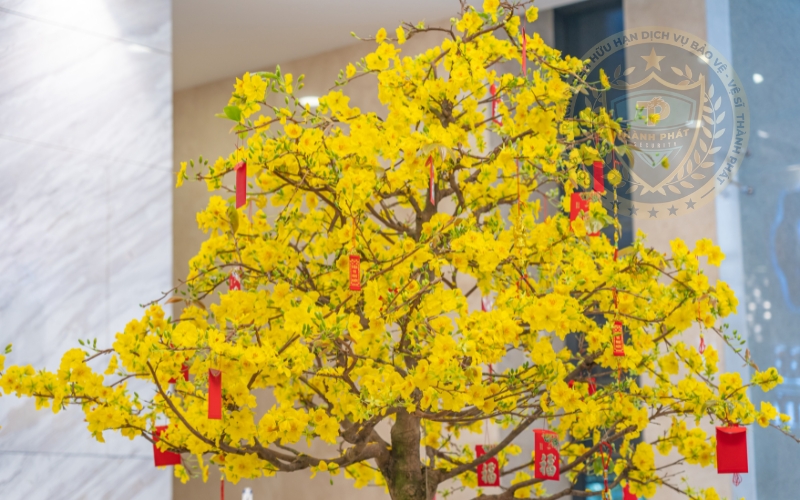 nhu cầu thuê bảo vệ ngày tết