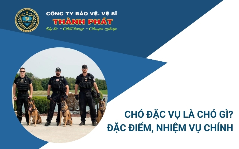 chó đặc vụ