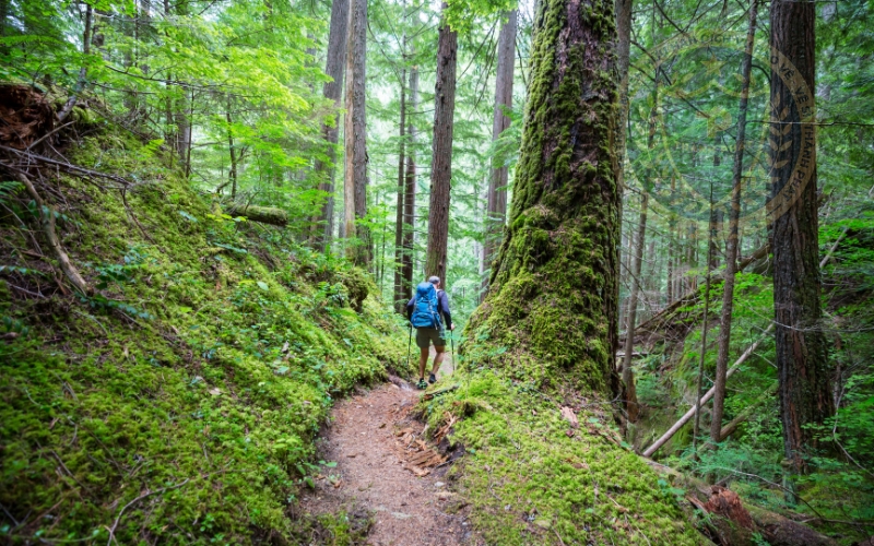 bình tĩnh không hoản loạn