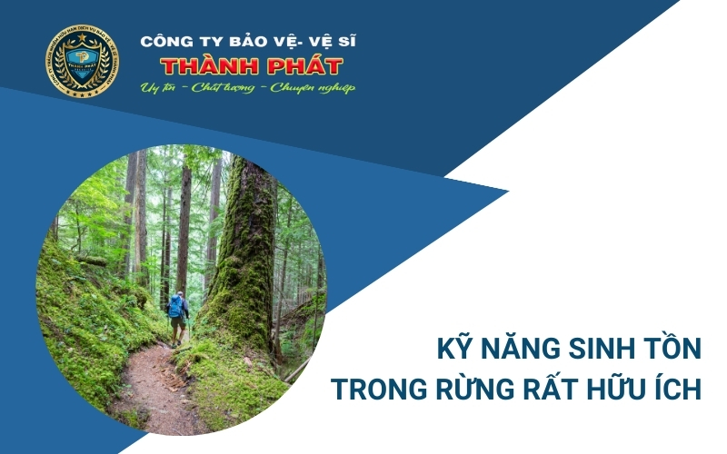 kỹ năng sinh tồn trong rừng
