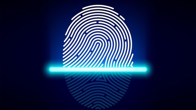 Nguyên lý hoạt động