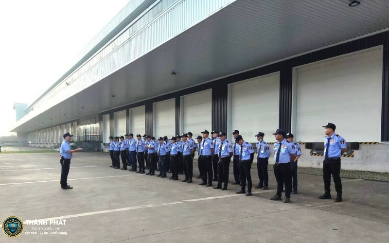 các dịch vụ của công ty bảo vệ huyện ba tri