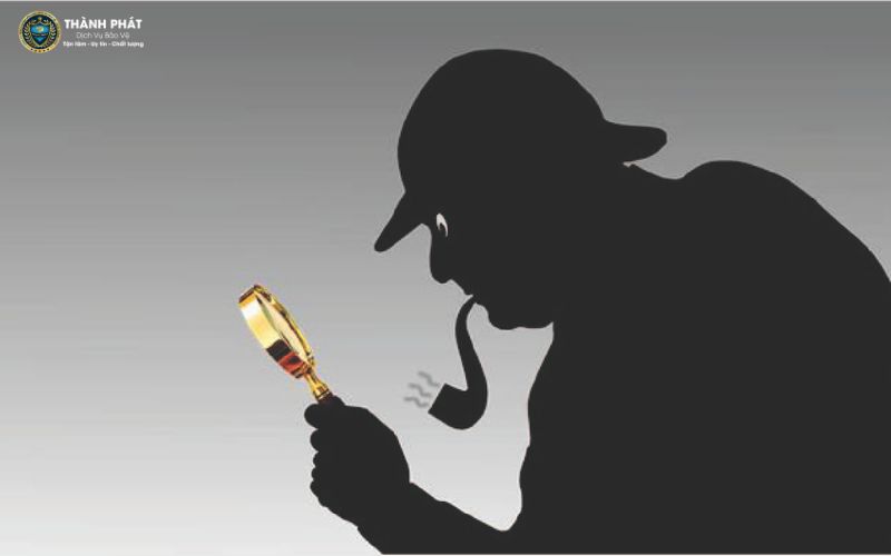 Tổng quan về dịch vụ tham tử tại Việt Nam