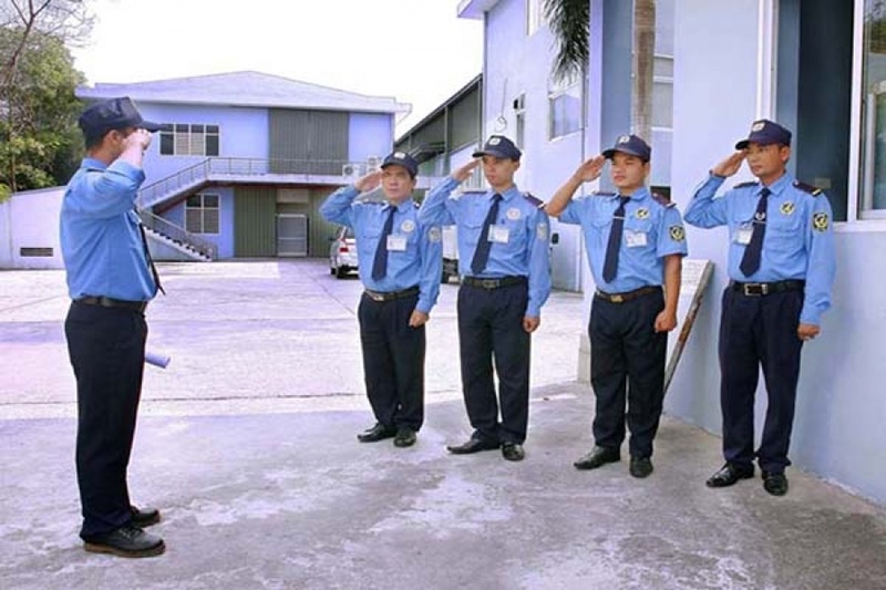 các quy định đấu thầu