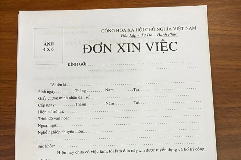 Hồ sơ xin việc bảo vệ là gì